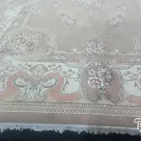 دوتا قالی ۱۲ متری بدون هیچ پارگی و مشکلی|فرش|تایباد, |دیوار