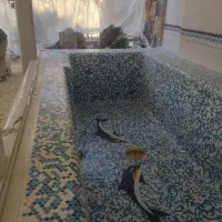 اجرای سرامیک استخر|خدمات پیشه و مهارت|لواسان, |دیوار