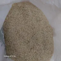 برنج اعلا فریدونکنار|خوردنی و آشامیدنی|نوشهر, |دیوار