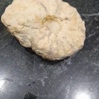 انواع سنگها