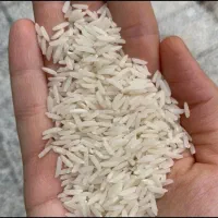 برنج هاشمی مجلسی آستانه اشرفیه