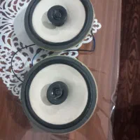 یک جفت سیستم کارکرده