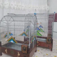 قفس سهره دست بافت نو