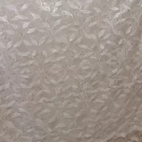 پرده سالم