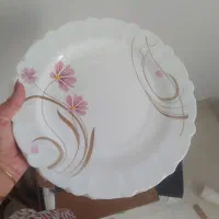 سرویس آرکوپال باز نشده