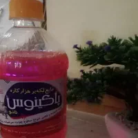 نانو پاکینوس