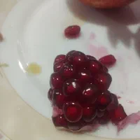 نهال انار شهرضا|خدمات باغبانی و درختکاری|اصفهان, ردان|دیوار