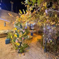 فروش-قطعه-مسکونی-تجاری-270متر-زعفرانیه