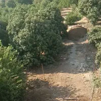 دو هکتار زمین تجاری و باغی|فروش زمین و ملک کلنگی|راهگان, |دیوار