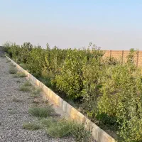 باغچه های 500/1000