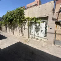 حیاط کلنگی/ابوریحان/سعدی