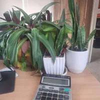 استخدام حسابدار