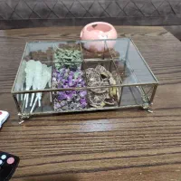 ظرف تقسیم