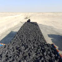 کک ذغال سنگ