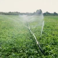 زمین کشاورزی