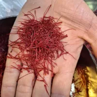 زعفران قائنات