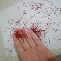 زعفران نگین اتویی