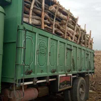 خرید چوب و برش زدن درخت‌های مزهم