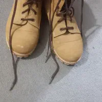 نیم پوت