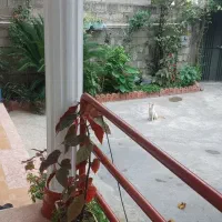 اجاره شبانه|اجارهٔ کوتاهمدت آپارتمان و سوئیت|رویان, |دیوار