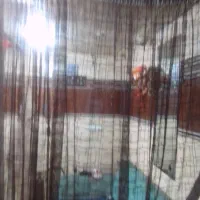 تعدادی پرده ،اشپزخانه و اتاق خواب  200ت