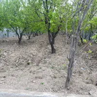 ۲۵۰ متر باغ+مجزا+*برق و گاز کنتور مجوز۸۰متربنا بکه