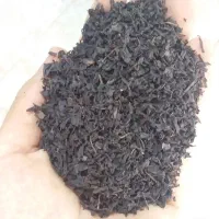 فروش انواع چای