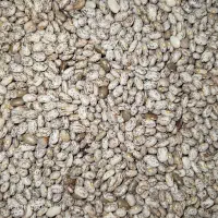 لوبیا چیتی