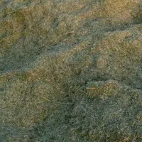 یونجه خوردشده