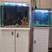 اکواریوم با میز زد آب