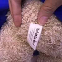 اسکوتر آپارتمانی فیلی، جاروبرقی، خرس پدینگتون اصل|اسباببازی بچه|تهران, شهران جنوبی|دیوار