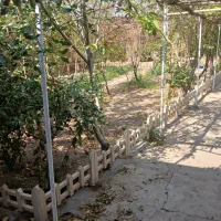 باغ-ویلا-میم