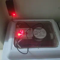 دستگاه جوجه کشی