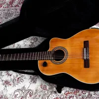 گیتار هافنر پیکاپ دار