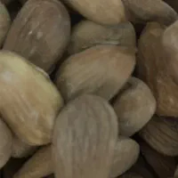 مغز بادام خام زرین