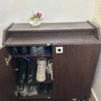 جاکفشی سالم