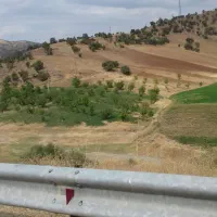 فروش باغ گردو در روستای گماره لنگ
