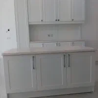 بازاریاب حرفه ای