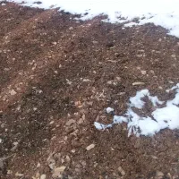 زمین-کشاورزی