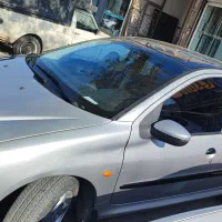 ۲۰۶ نقره ای فرانسوی|خودرو سواری و وانت|مشهد, نوید|دیوار