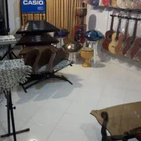 سنتور آموزشی تا حرفه ایی|سازهای سنتی|پرند, فاز ۱|دیوار