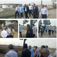 امتیاز رونیکا پالاس تهرانسر حاج رحیم قربانی|فروش آپارتمان|تهران, شهرک دانشگاه|دیوار