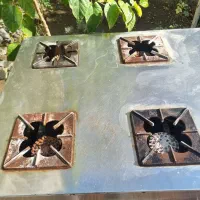 گاز چهار شعله و فر صندوقی|کافیشاپ و رستوران|مشهد, سجاد شهر|دیوار