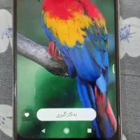 گوشی نوت۸تی|موبایل|کنگاور, |دیوار