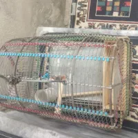 قفس دستبافت قدیمی ،سالم ومحکم