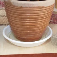 گلدان سفالی