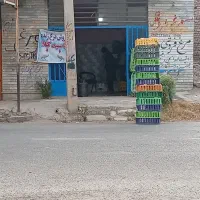 مرغ زنده سبد کالا