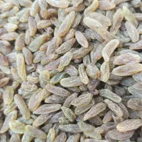 کشمش سبز کاشمری سفارشی اعلا|خوردنی و آشامیدنی|اصفهان, سودان|دیوار