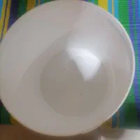 سطل ماستی. سطل ترشی. سطل سسی