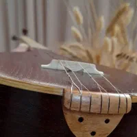 سه تار زیرعبایی، دو مهر|سازهای سنتی|تهران, تاکسیرانی|دیوار